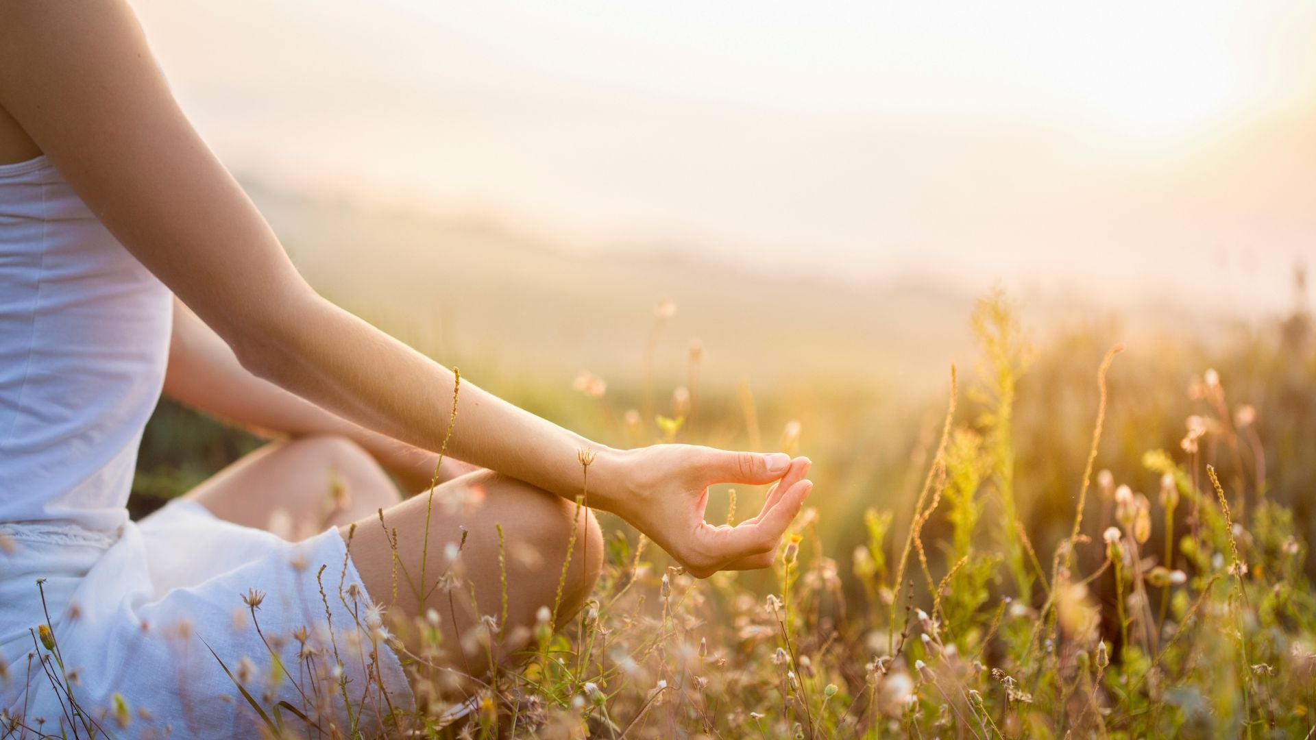 Gruppenprogramm "Zurück zu mir - Der Weg zu deiner bewussten Elternschaft"